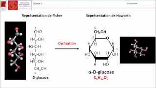 Cyclisation de glucose Université Paul Sabatier Toulouse [upl. by Lihka]