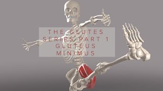 Glutes Series Part 1 Gluteus Minimus 3D Animation [upl. by Niu]