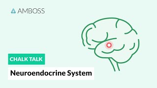 Pathology Basics of Endocrinology [upl. by Yulma737]