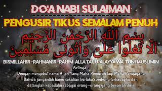 PENGUSIR TIKUS DOA NABI SULAIMAN [upl. by Aioj]