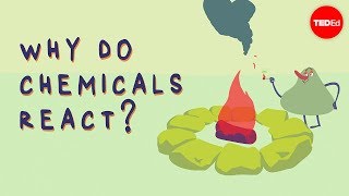 What triggers a chemical reaction  Kareem Jarrah [upl. by Atteloj224]