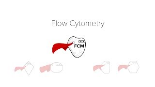 Flow Cytometry [upl. by Eyaj]