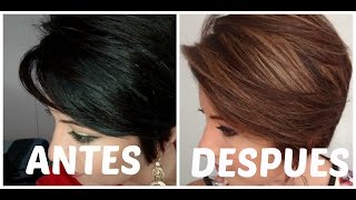 Como tinturar tu pelo con mechas  How to dye your hair at home  Highlights [upl. by Nerret]