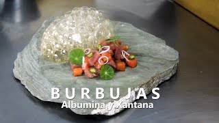 ¿COMO HACER BURBUJAS COMESTIBLES  BURNBUJAS DE PONZU CON ALBUMINA Y XANTANA [upl. by Kensell]