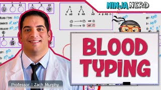 Hematology  Blood Typing [upl. by Atiuqcaj]