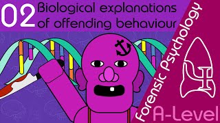 Biological explanations of offending behaviour  Forensic Psychology AQA ALevel [upl. by Bamford]