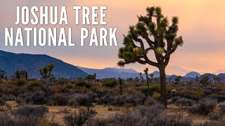 15 Places to Explore in Joshua Tree National Park [upl. by Bensen]