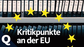 Kritik an der EU überprüft Drei häufige Punkte  Quarks [upl. by Llerat490]