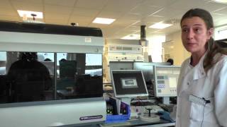 Flow Cytometry – Liliana Carvalho [upl. by Ayital]