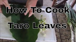 How To Cook Taro Leaves [upl. by Timothy]