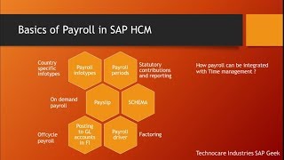 Introduction to payroll [upl. by Kaenel]