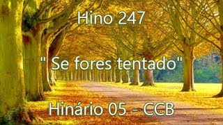 Hino 247  Se fores tentado  H5 CCB [upl. by Sidoney]