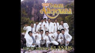 La Sonora Altepexana  Mi Torpeza [upl. by Aninaj]