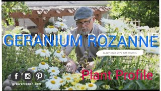 How to Grow Geranium Rozanne  Plant Profile [upl. by Grose]