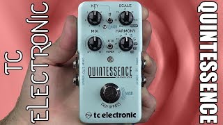 TC Electronic Quintessence Harmony Demo amp Review  Stompbox Saturday [upl. by Adnor236]