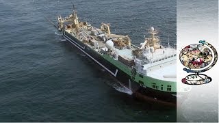 How Australia Impounded the Worlds SecondLargest Fishing Trawler [upl. by Michaeu652]