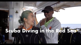 Scuba Diving in the Red Sea  Hurghada  Egypt Series [upl. by Canada]