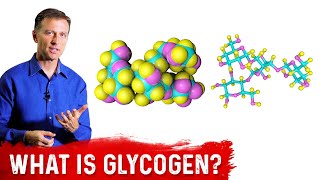 What is Glycogen – Dr Berg [upl. by Annnora451]