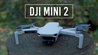 DJI Mini 2 Drone  Handson Review [upl. by Nerraf]