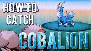 How to Catch  Cobalion  Pokemon Black 2 and White 2 [upl. by Ailam]