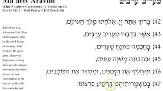 Ma’ariv Aravim by CHAVA MIREL [upl. by Nellda750]