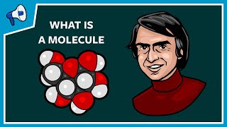 What Is a Molecule [upl. by Marr]