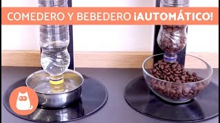 Comedero dispensador AUTOMÁTICO para perros 🐕 MANUALIDADES para tu MASCOTA [upl. by Allenotna]