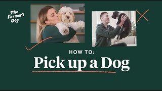 How To Pick Up A Dog [upl. by Medorra]