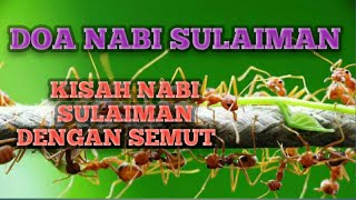 DOA NABI SULAIMAN [upl. by Eniamart976]