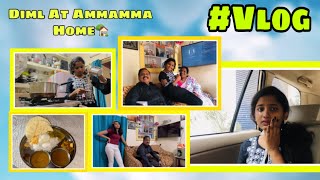 Day In My Life At Ammamma House 🏡 SPURTHI VLOGS [upl. by Robby]