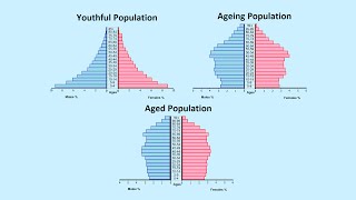 How to Read a Population Pyramid [upl. by Chemash252]