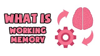 What is Working Memory  Explained in 2 min [upl. by Angle]