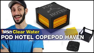 Do your copepods need a home Give them a Hotel Clear Water Pod Hotel Copepod Haven [upl. by Leay620]