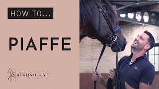 How to train Piaffe  Begijnhoeve  How to 1 [upl. by Avot]