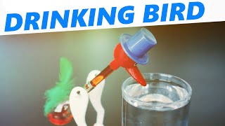 How a drinking bird toy works [upl. by Warren]