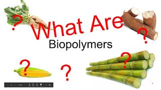 Biopolymers PLA [upl. by Lehmann942]