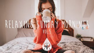 Relaxing Sunday Mornings ☕  An IndieFolkPop Playlist  Vol 5 [upl. by Duahsar]