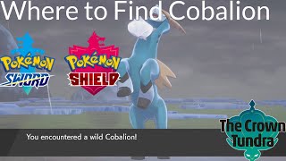 Pokemon Sword and Shield  Where to Find Cobalion [upl. by Moria]