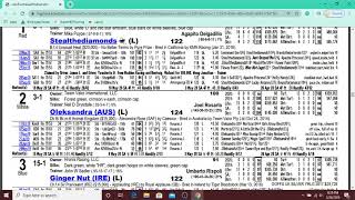 Best Horse Racing Handicapping Tutorial and Tips [upl. by Gotthelf935]