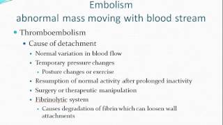 Hemodynamic Disorders [upl. by Mayworm]