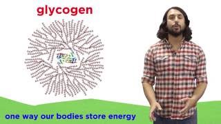 Carbohydrates Part 2 Polysaccharides [upl. by Christin]