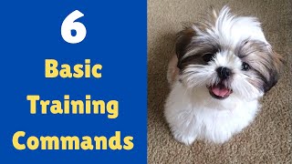 6 Basic Training commands to teach your Shih Tzu Puppy [upl. by Laurita]