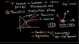 Penicillin production  industrial production [upl. by Nivlek]