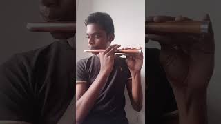 piyamanne flute cover [upl. by Maillil]