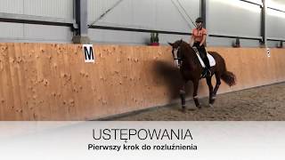 Proste ćwiczenia na rozluźnienie konia  GALOP [upl. by Schaffer154]