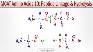 How to reconstitute peptides and calculate doses [upl. by Gloriana]