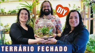 Como Fazer Um TERRÁRIO Versão Completa DIY  Terra Jardim [upl. by Zitah]