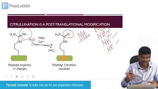 Neutrophils Mnemonic for USMLE [upl. by Esaertal]