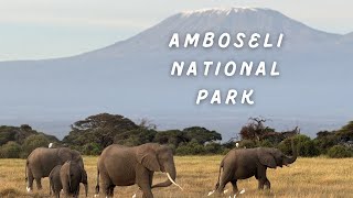 Amboseli National Park [upl. by Rotceh]