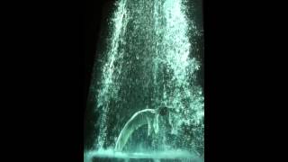 BIll Viola Tristans Ascension [upl. by Masao193]